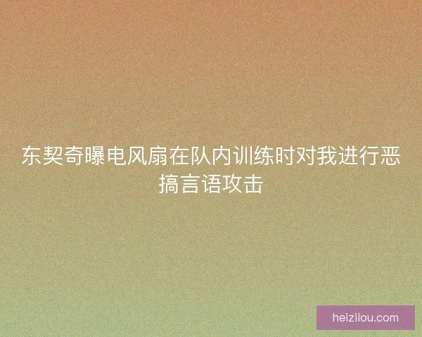 东契奇曝电风扇在队内训练时对我进行恶搞言语攻击 东契奇曝电风扇在队内训练时对我进行恶搞言语攻击